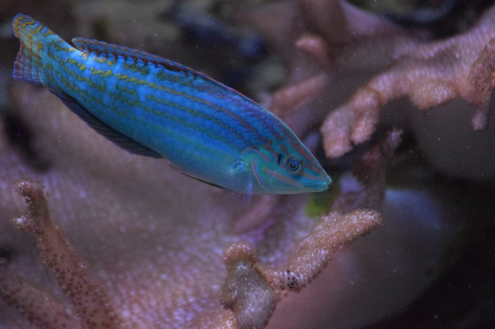 Photograph by Gabriella Sicurello