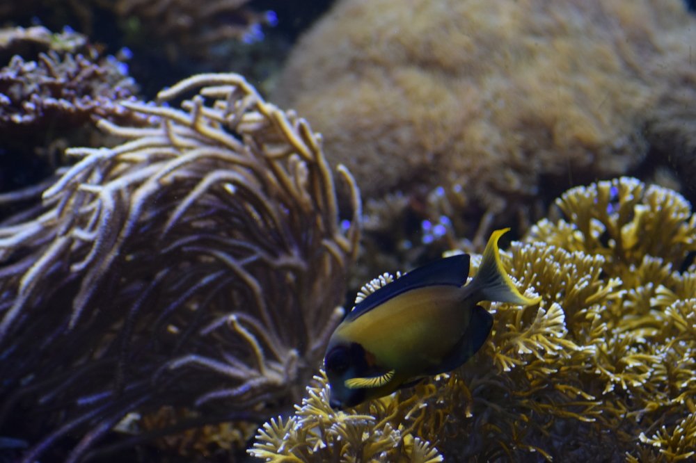 Photograph by Gabriella Sicurello