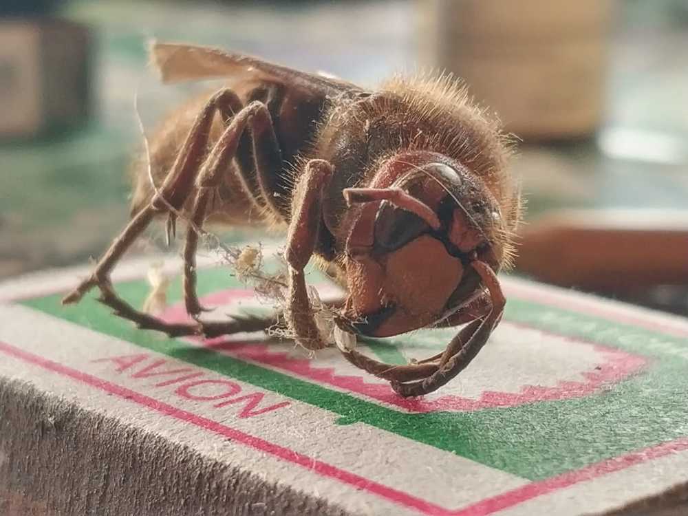 Photograph by Марина Мишина