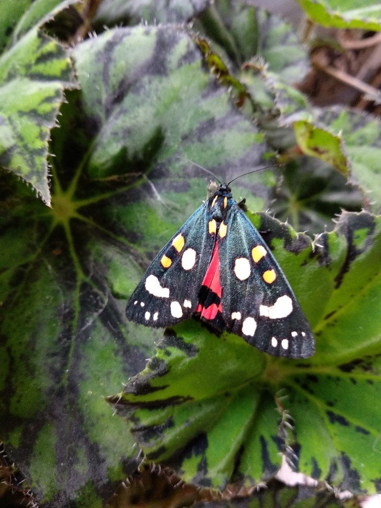 Photograph by Марина Мишина