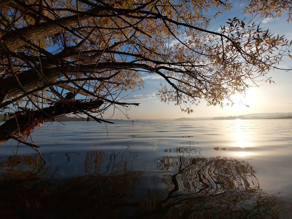 Осенний рассвет на Гамовском пруду.