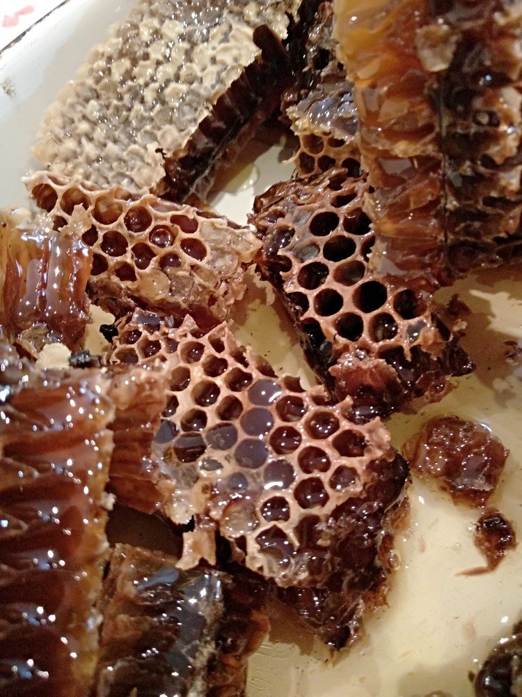 Photograph by Марина Мишина