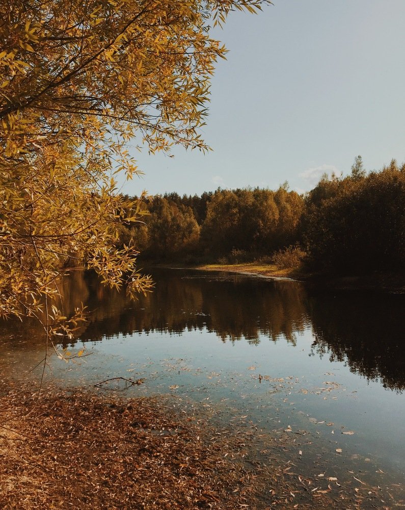 Photograph by Грушина Катерина