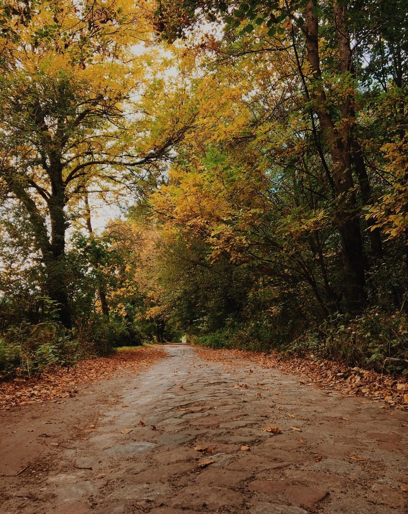 Photograph by Грушина Катерина