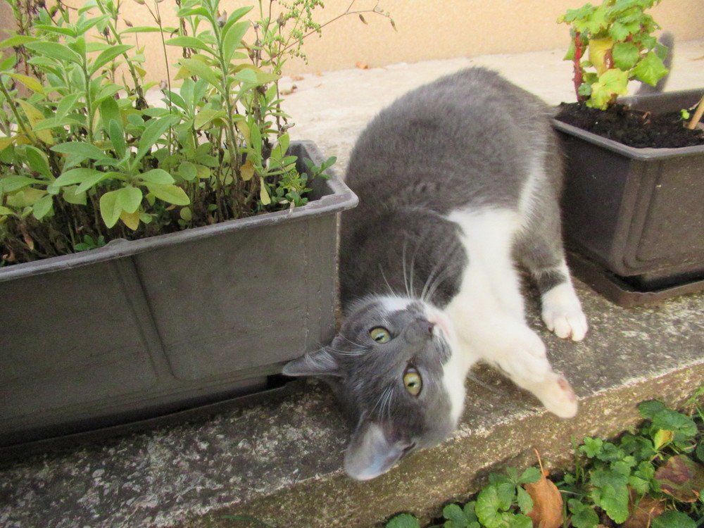 Photograph by Nermina Selmanovic