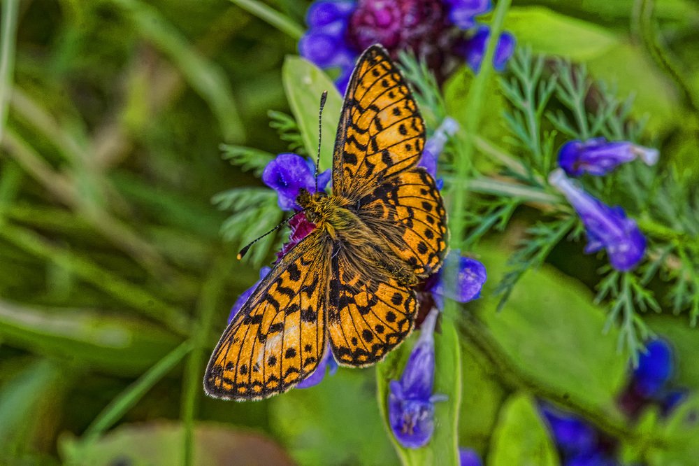 Photograph by Александр Викторович