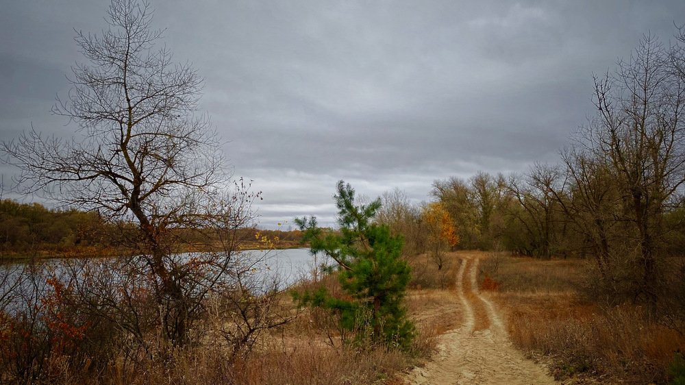 Photograph by Елена Гарибян