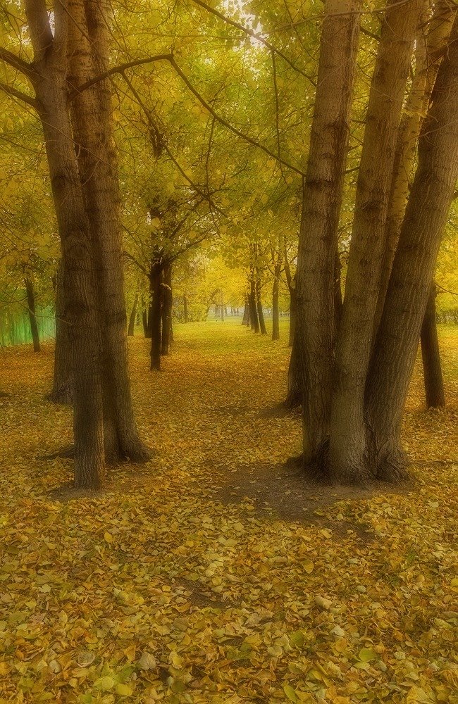 Photograph by Александр Викторович