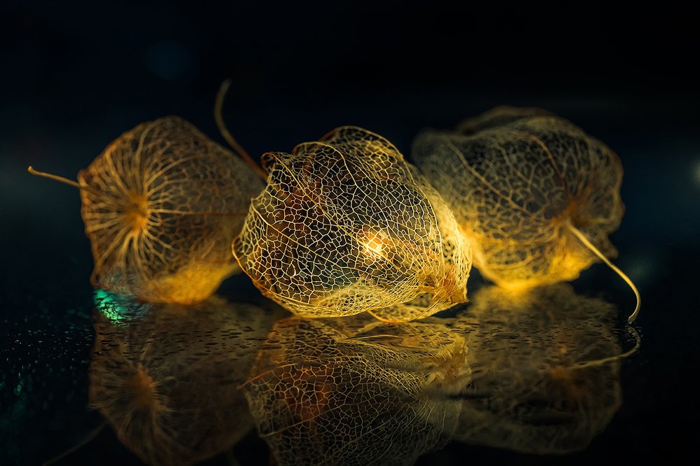 Фотография автора ЯR Ольга