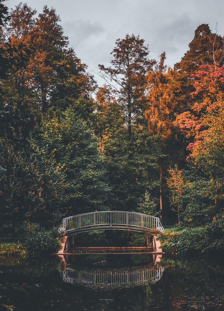 Photograph by Александр Державин