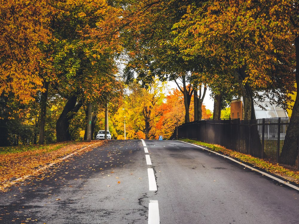 Photograph by Александр Державин