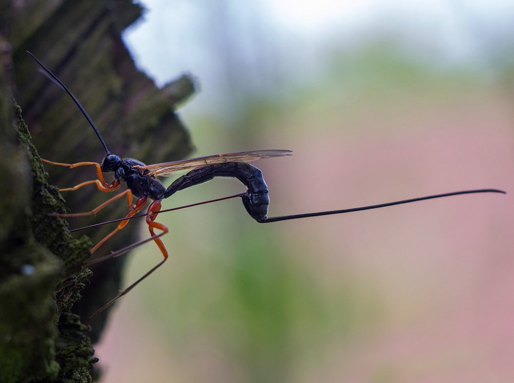 Photograph by Андрей Бурда