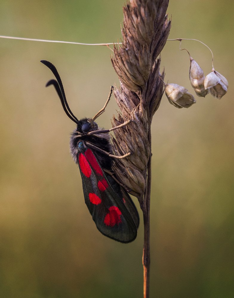 Photograph by Андрей Бурда