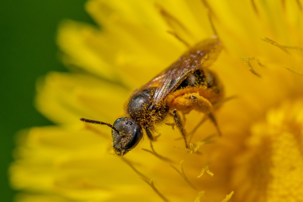 Photograph by Евгений