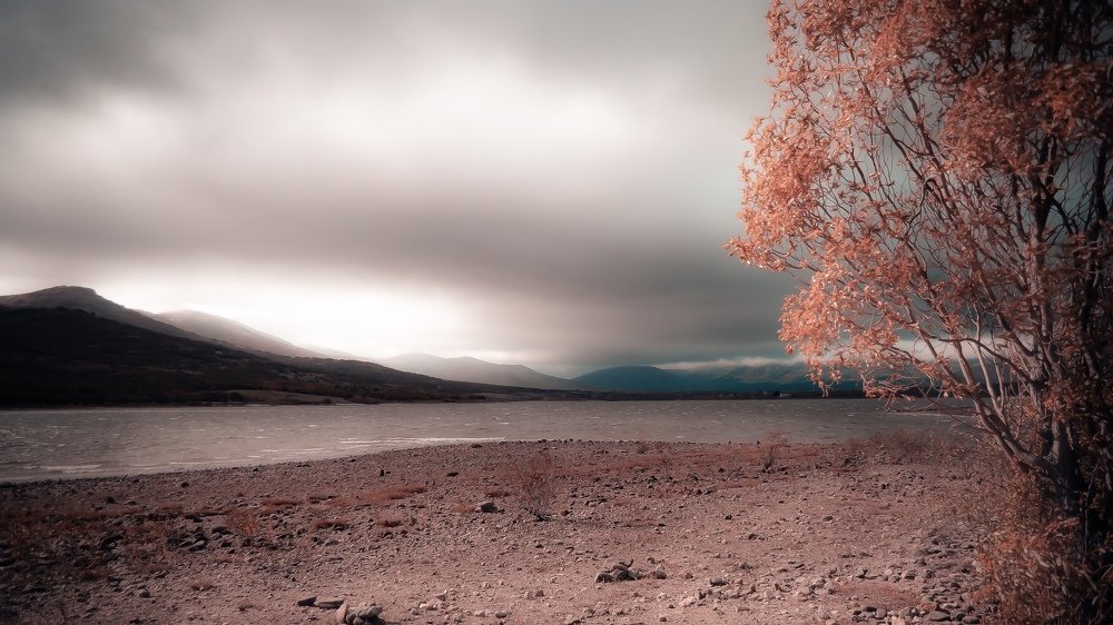 En algún lugar de mi mente.