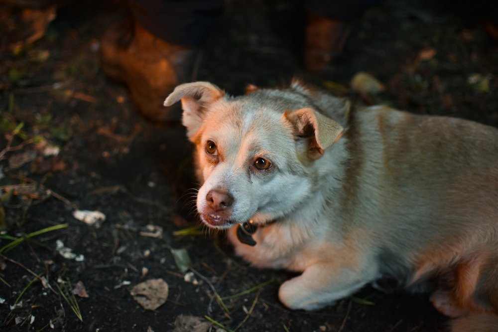 Photograph by Амир Гильмутдинов