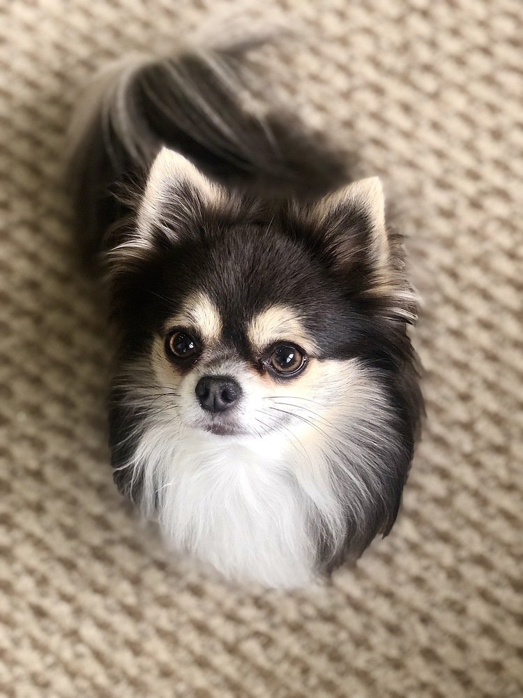 Photograph by Валентина Рязанцева