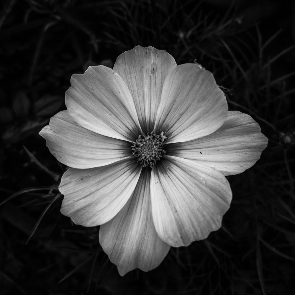 Photograph by Valentina