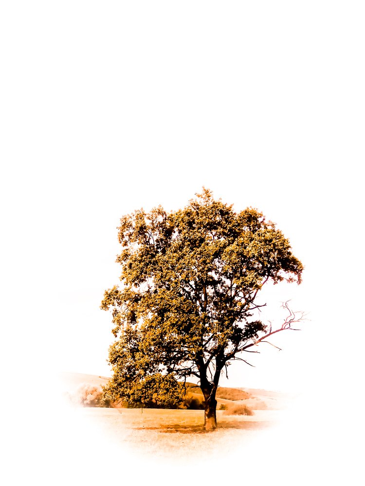 Photograph by Szilveszter Zoltan