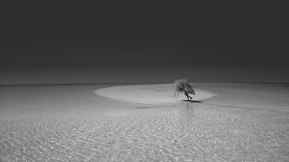 Photograph by Stojan Femec