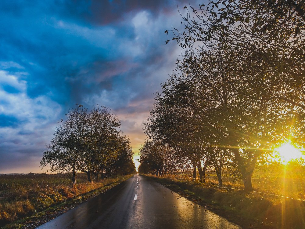 Photograph by Szilveszter Zoltan