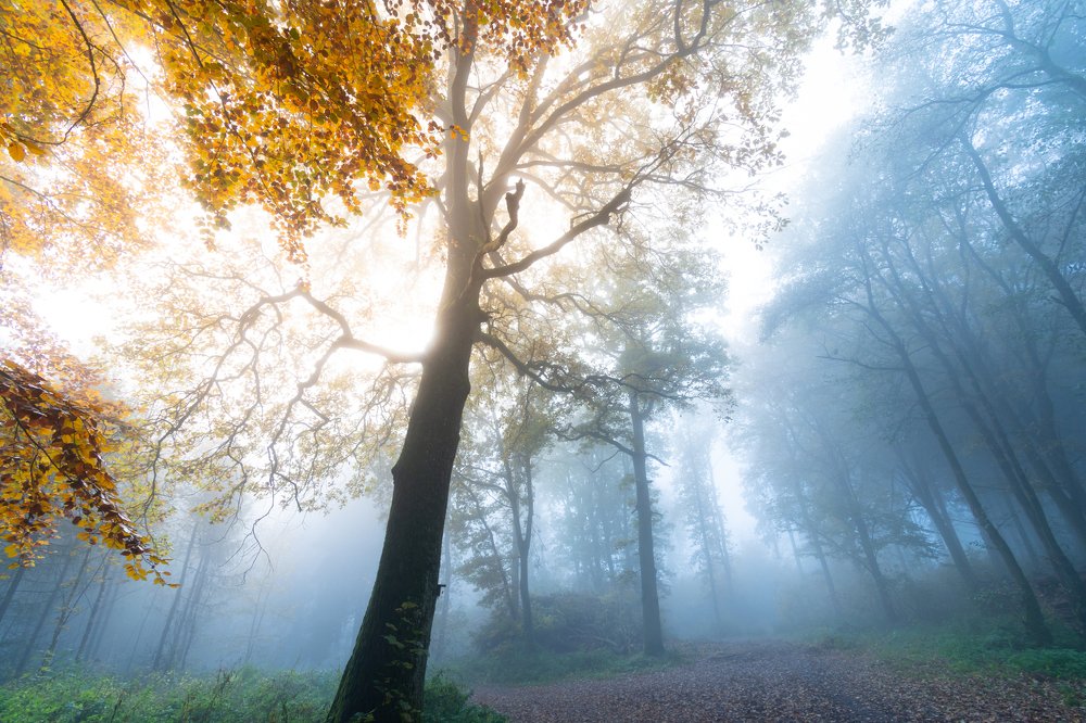 Photograph by Theo Crazzolara