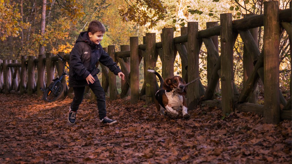 Photograph by Leonov Sergey