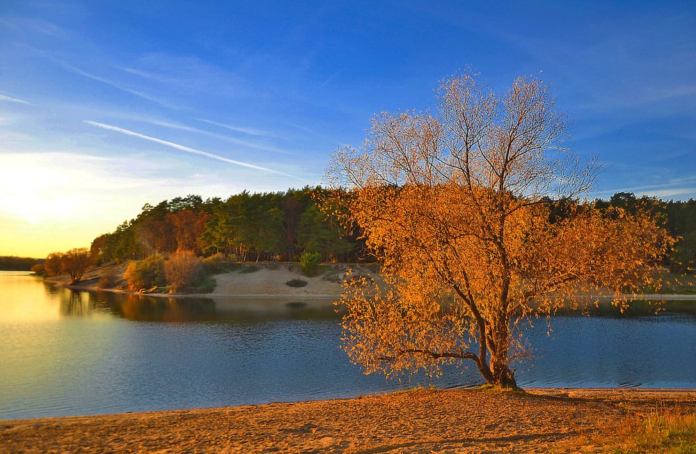 Photograph by Александра Климина