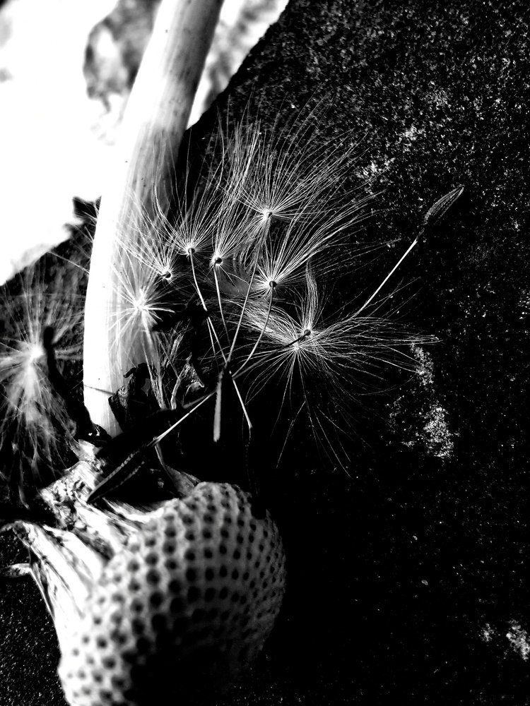 Photograph by Valentina