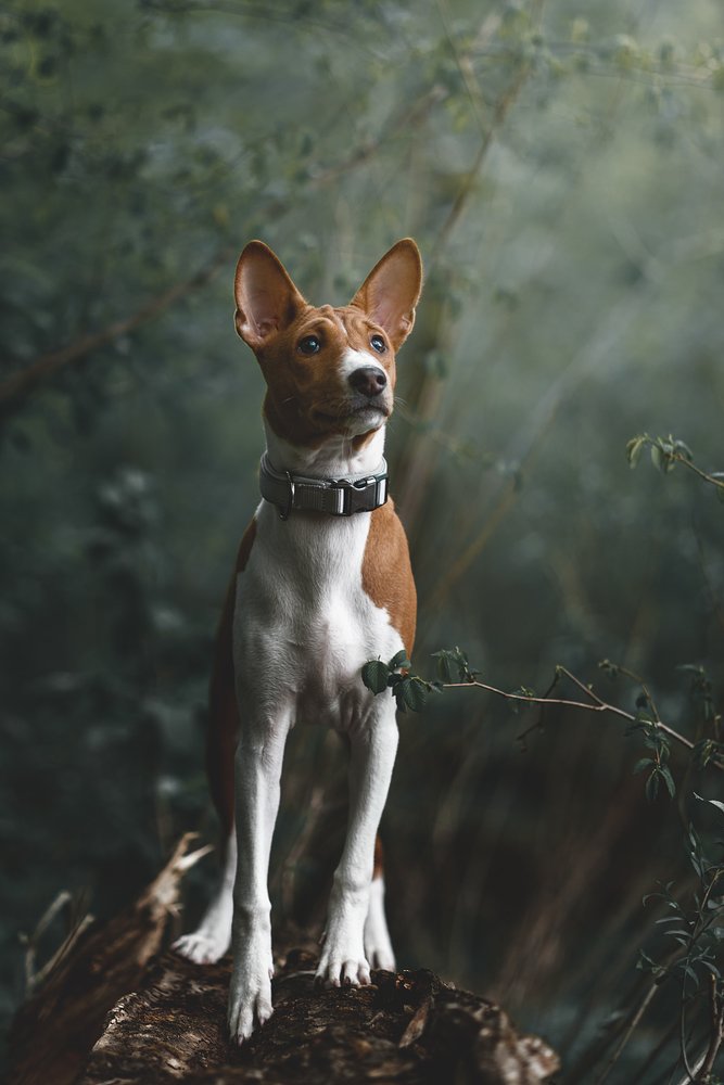 Photograph by Евгений Крутиков