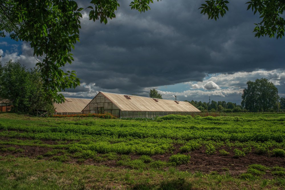Photograph by Марина Зборацкая