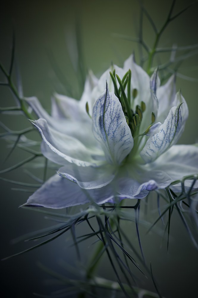 Photograph by Татьяна Кытина