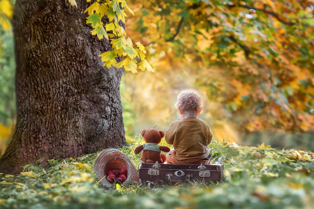 приключения Кристофера Робина