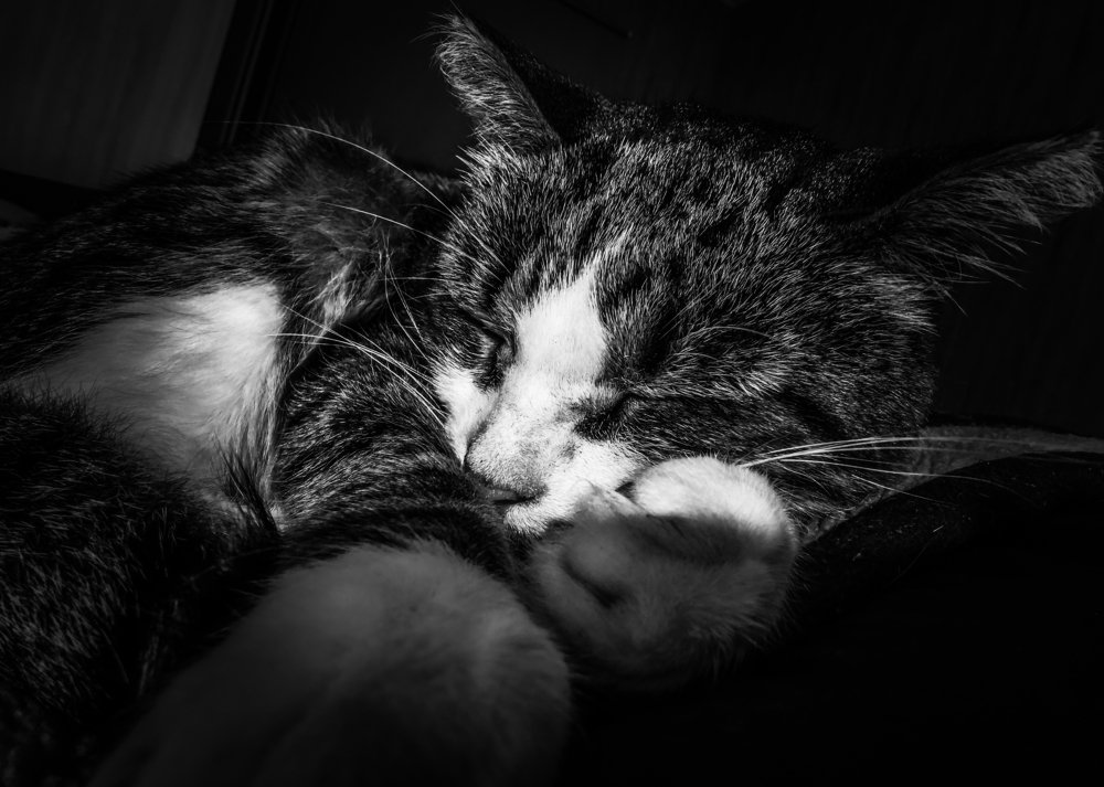 Photograph by Valentina