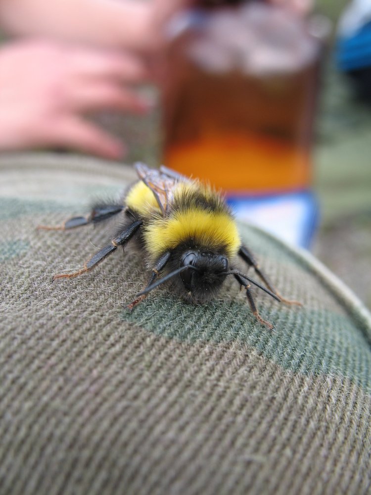 Photograph by Евгений Захаров