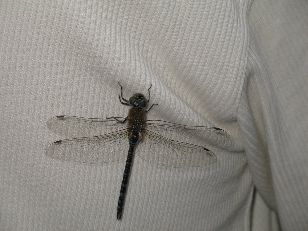 Photograph by Евгений Захаров