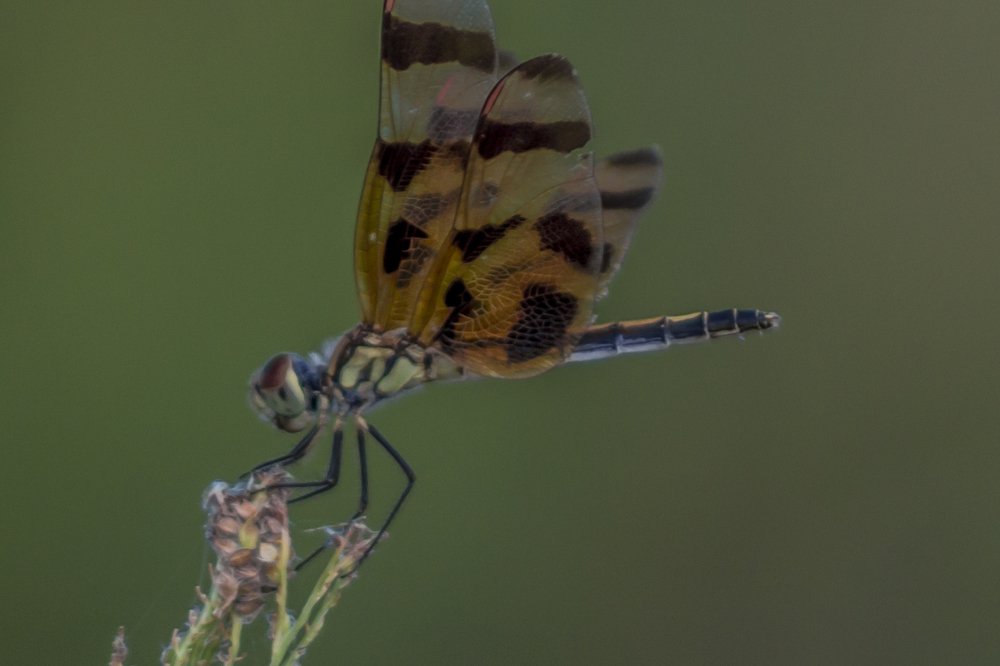 Photograph by Alexander Morales