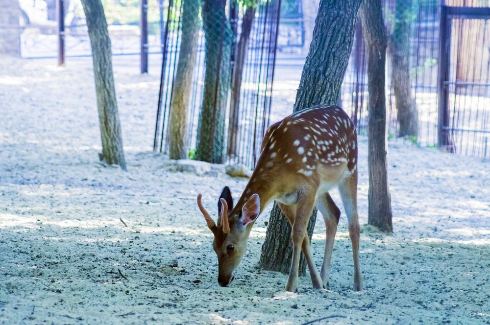 Фотография автора Артемий Николаевич