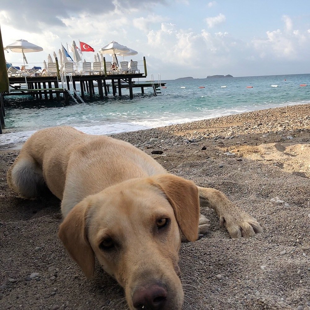 Photograph by Анна Шанёва