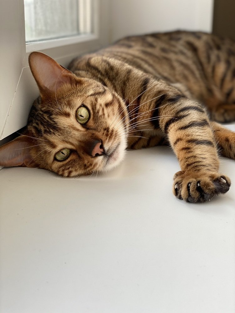 Photograph by Анна Шанёва