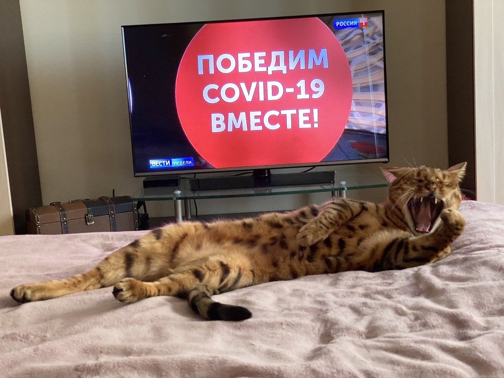 Photograph by Анна Шанёва