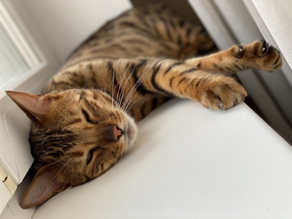 Photograph by Анна Шанёва