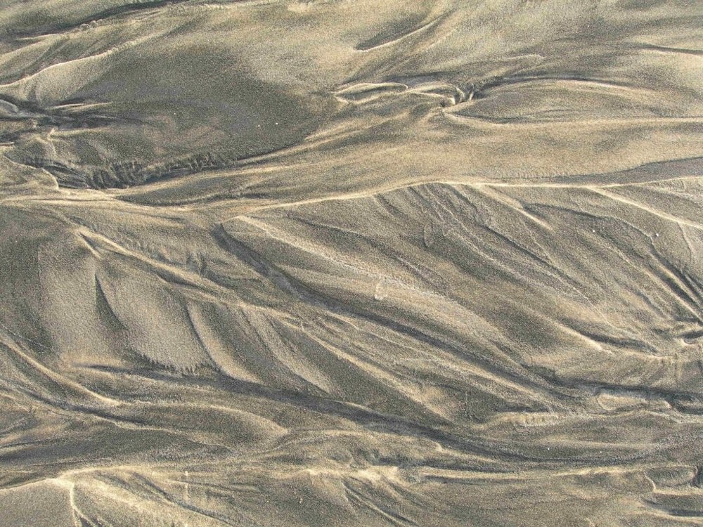 Photograph by Cesar Lorenzano