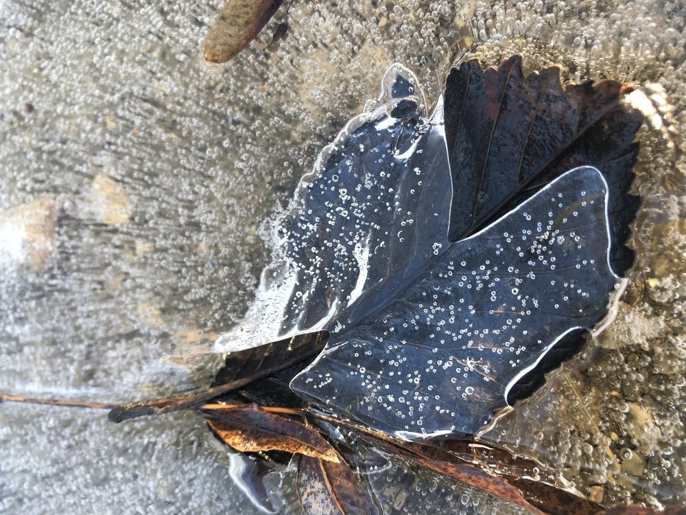 Photograph by Виктория Сметанина