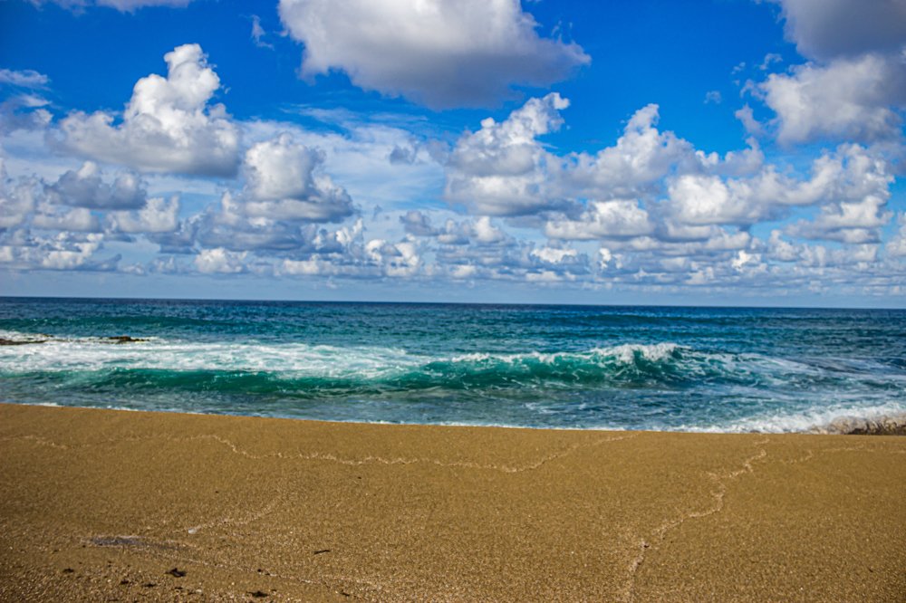 Photograph by Alexander Morales