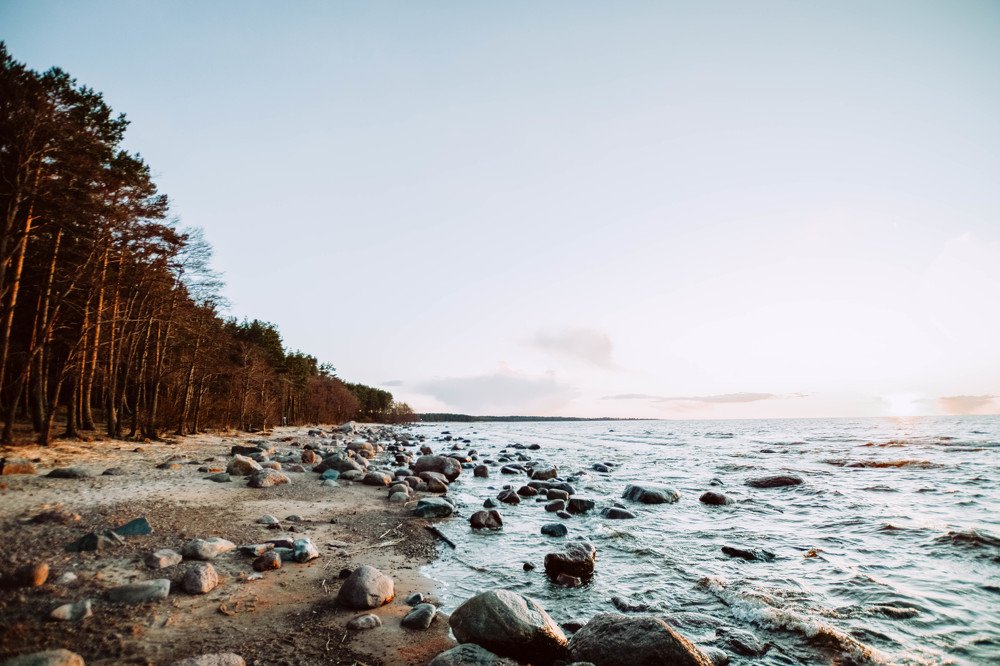 Photograph by Liguanna Anna