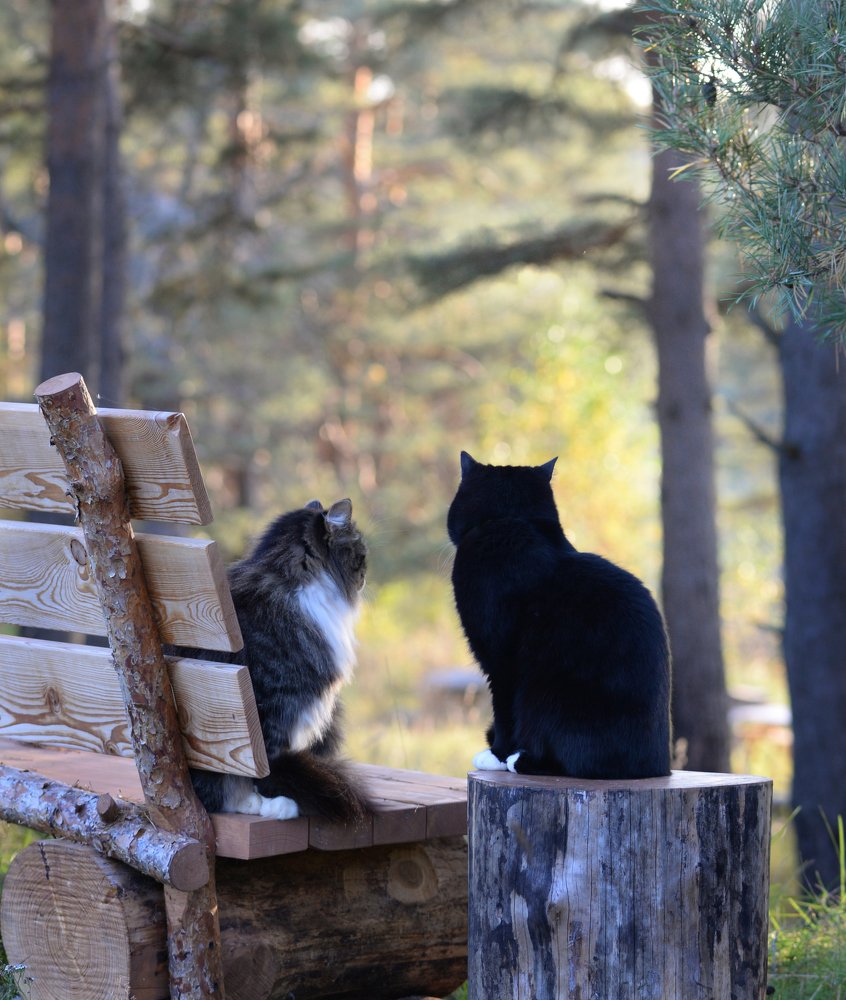 Photograph by Алексей Тихонов