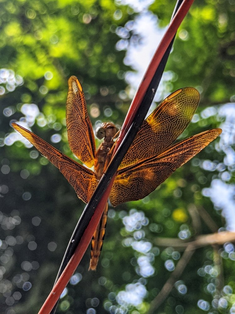 Photograph by Abdur Rahim