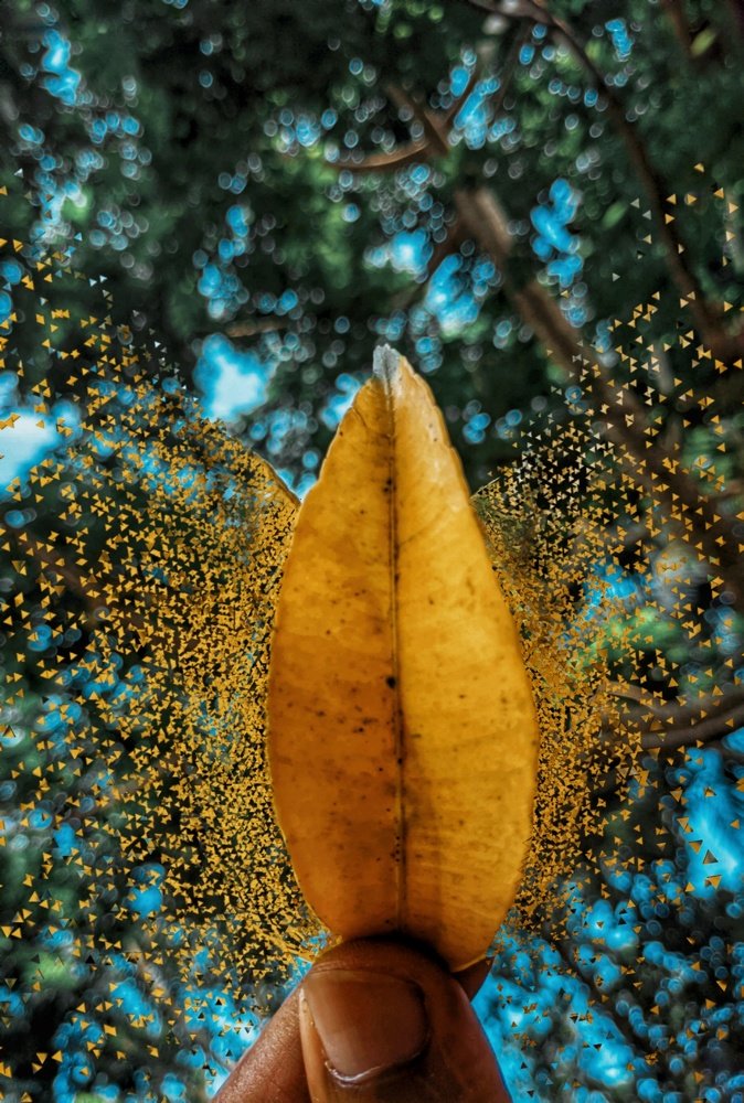 Photograph by Abdur Rahim