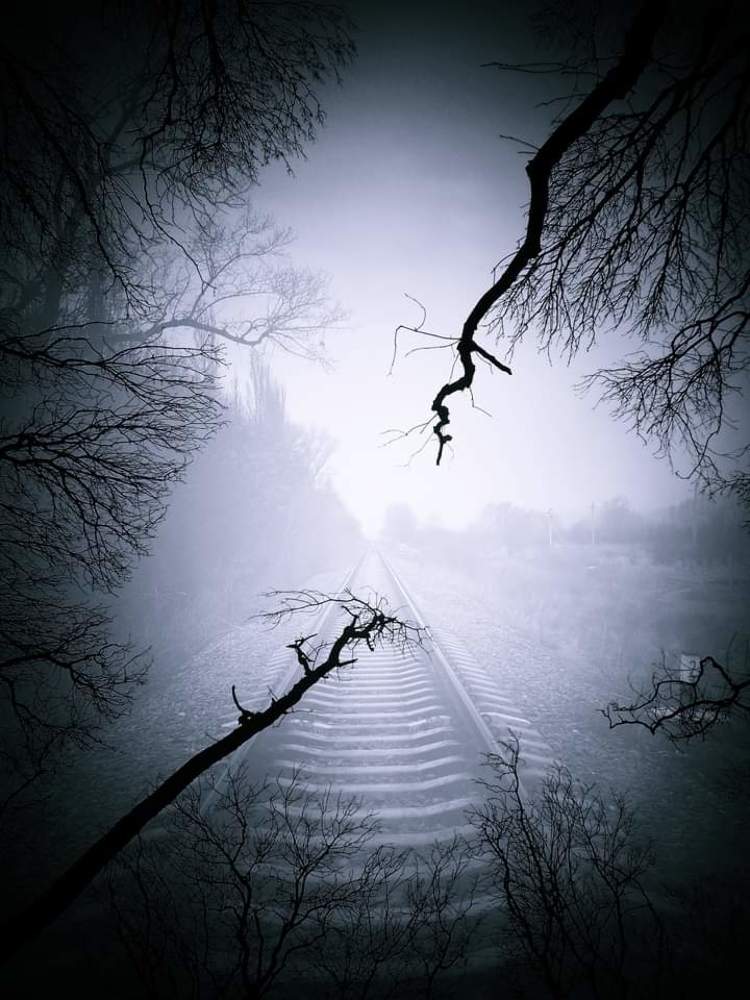Photograph by Барно Ортикбаева